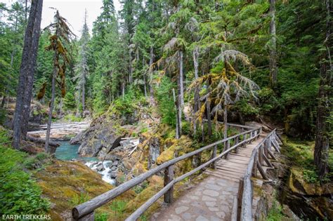 How to Hike the Silver Falls Loop Trail, Mount Rainier National Park ...