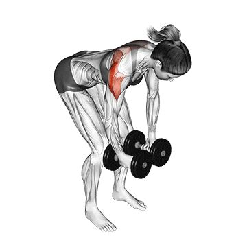 Dumbbell Rear Delt Fly - Guide, Benefits, and Form