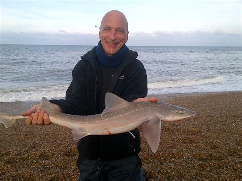 Catch report & fishing forecast for Dorset including Chesil Beach, Portland & Weymouth ...