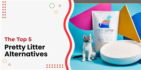 Pretty Litter Alternatives: Top 5 Options Reviewed [2024]