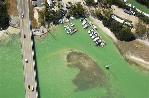 Robbie's Marina in Islamorada, FL, United States - Marina Reviews - Phone Number - Marinas.com