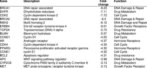 Genes down-regulated more than 2-fold in cells exposed to 25 hypoxic... | Download Scientific ...