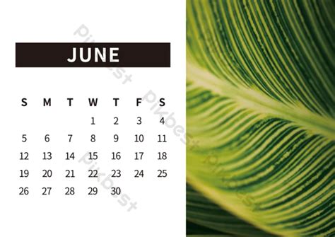 Photo Landscape Calendar Template June Plant Photo Calendar | AI Free ...