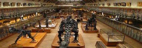 Zoological Museum , Strasbourg | Halal Trip