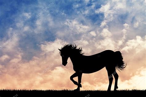 Horse Silhouette Photography