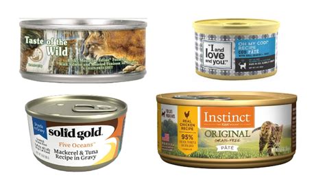 8 Best Wet Cat Food: Your Buyer's Guide (2020)