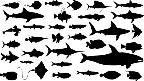 Fish silhouettes #Adventure #Aquatic #Deep #diving #fish #fishsaw # ...