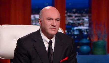 Mr. Wonderful Net Worth, Early Life, and Career