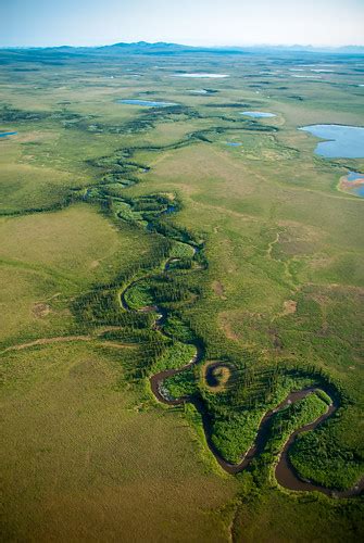 Tundra River | A unnamed river snakes its way through the tu… | Flickr