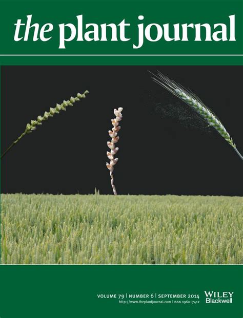 The Plant Journal | The Society for Experimental Biology (SEB)