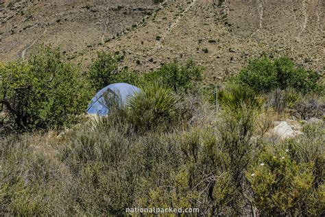 Guadalupe Mountains National Park Campgrounds - National Parked