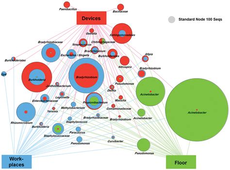 Hopistal microbial ecology makes cover of “Medical Science” journal ...