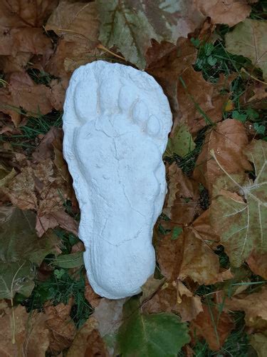 Bigfoot Cast Replicas – BigfootCasts.com