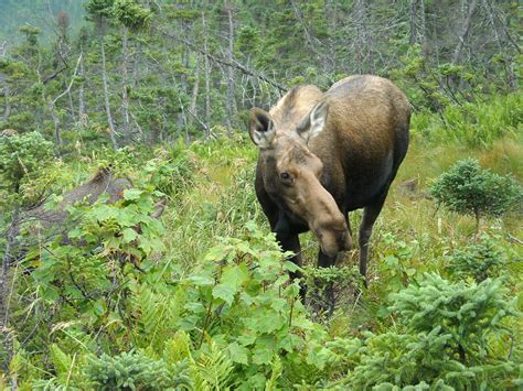 5 Ways to Spend your Time in Gaspesie National Park - Carlas Canvas