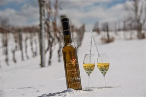 All About Ice Wine - Wine Lovers Village