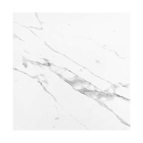 Carrara White Tile | ubicaciondepersonas.cdmx.gob.mx