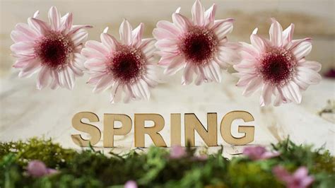 First Day of Spring 2024: What to Know About the Vernal Equinox ...