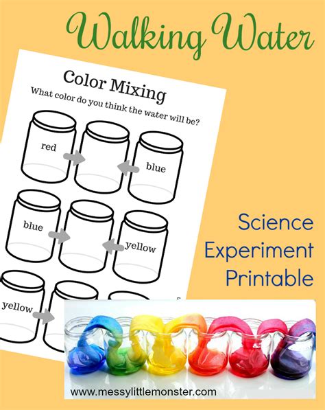 Walking Rainbow Experiment Worksheets