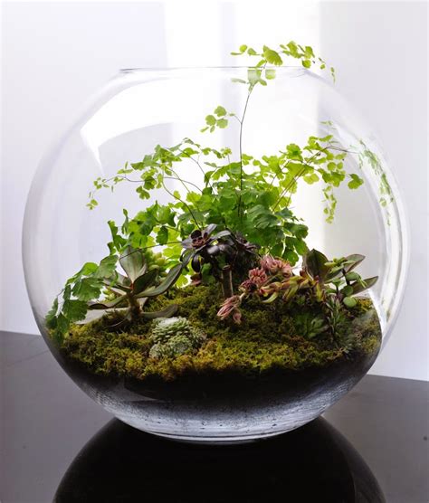 046+BEAUTIFUL+TERRARIUMS+SMALL+AND+TINY+GARDENS+YOU+CAN+GROW+ON+TABLE ...