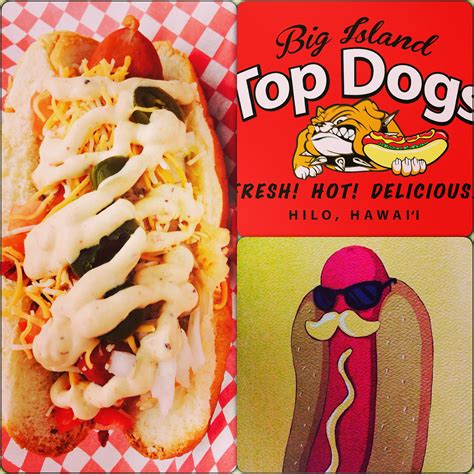 Big Island Top Dogs | Hilo HI
