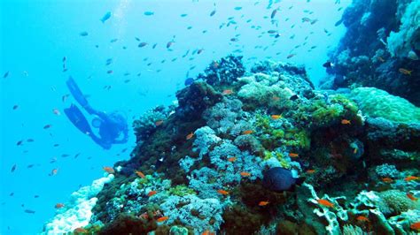 Diving Green Island Taiwan – why it’s worth adding to your diving wish list