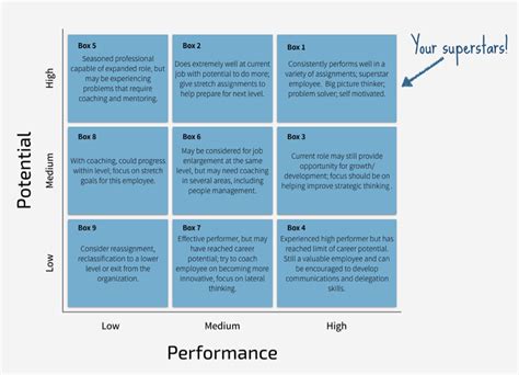 9-Box Grid: Benefits, Examples & the Ultimate Action Plan | Scribe