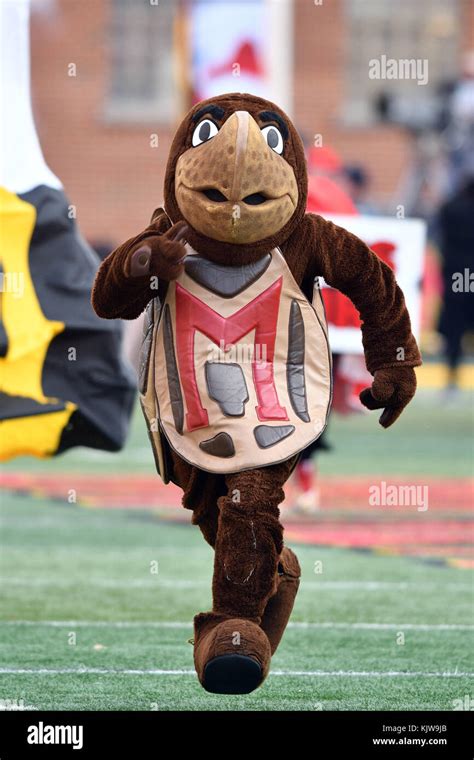 Maryland mascot hi-res stock photography and images - Alamy