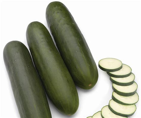 13 Of The Latest Cucumber Varieties - Growing Produce