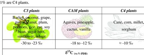 Examples of most common plants of the three described groups and the... | Download Table