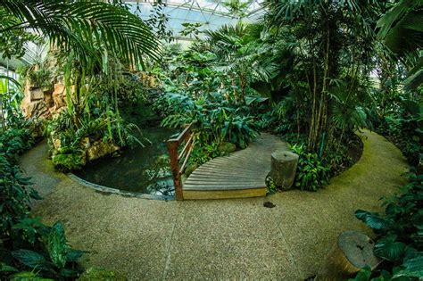Queen Sirikit Botanic Garden Free Stock Photo - Public Domain Pictures