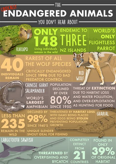 Endangered Wildlife Infographic :: Behance