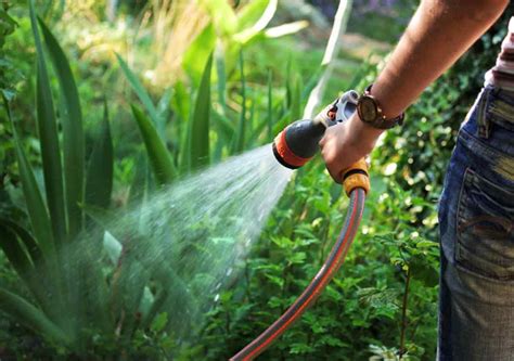 Conserving Water and Energy in Your Landscaping | Best Pick Reports