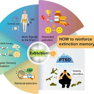 Schematic representation of behavioral strategies for reinforcing fear ...