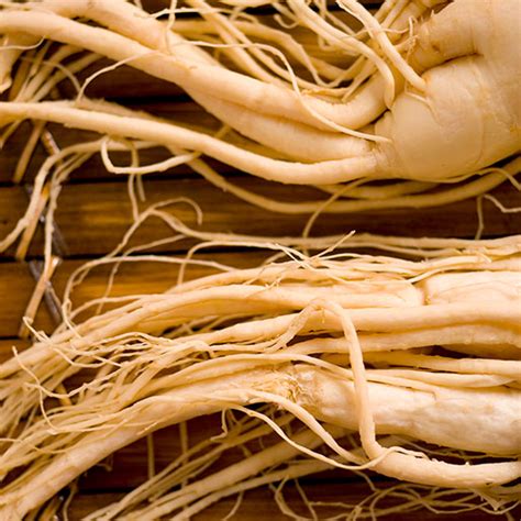 Asian Ginseng: Usefulness and Safety | NCCIH