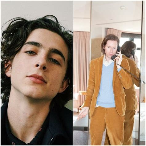 Timothée Chalamet is starring in Wes Anderson’s next movie | Dazed