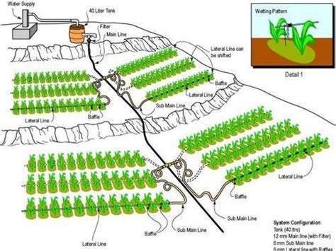 greenhouse drip irrigation system design - fredrikson-hong