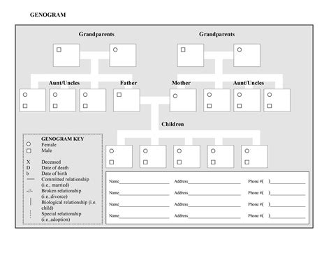 30 Free Genogram Templates & Symbols ᐅ TemplateLab