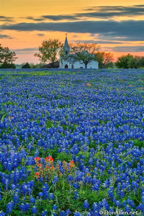 771 best images about Texas Landscape Photos on Pinterest | Rio grande ...