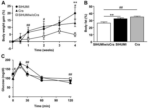 Clostridium ramosum increases symptoms of obesity in mice harboring a ...