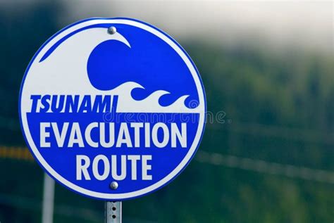 Positive and Negative Effects of Tsunami - Environment Go!