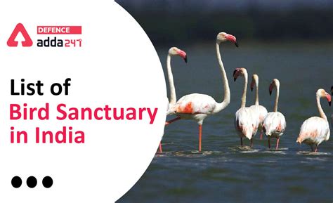 List of Bird Sanctuary of India