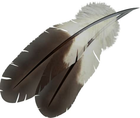 Feather PNG