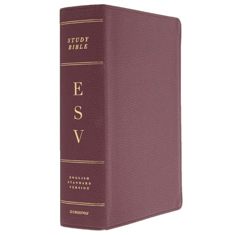 ESV Study Bible, Large Print, Bonded Leather, Burgundy | Mardel | 3934072