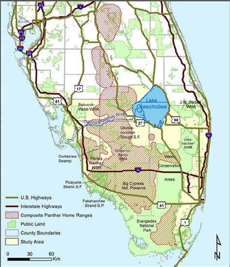 Study area and composite range of all Florida panthers used in the ...