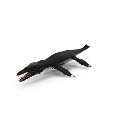 Liopleurodon PNG Images & PSDs for Download | PixelSquid