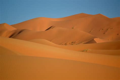 Encounter the Erg Chebbi Dunes in Morocco Sahara