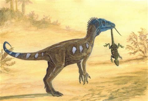 Eoraptor Pictures & Facts - The Dinosaur Database