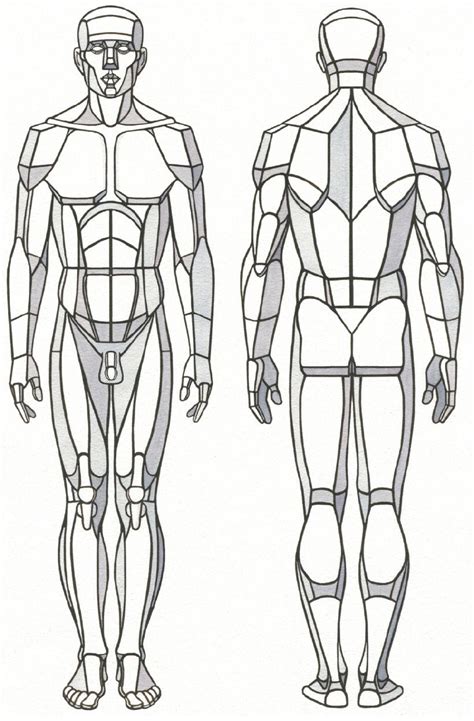 Structures and Planes of the Figure - Classic Human Anatomy in Motion: The Artist's Guide to the ...