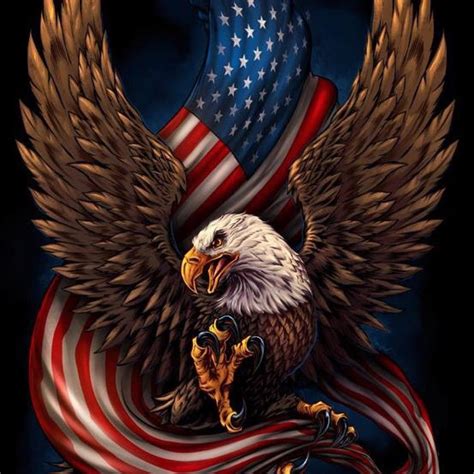 5D DIY Full Drill Diamond Painting Eagle Flag Cross Stitch Embroidery Kit