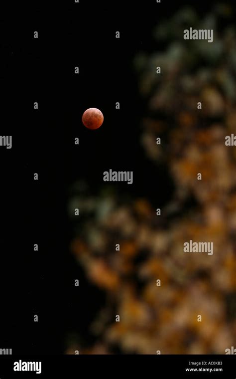 red moon eclipse Stock Photo - Alamy